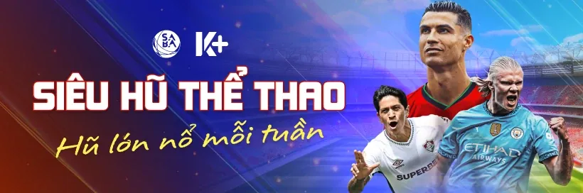 Trận đấu bóng chuyền chuyên nghiệp